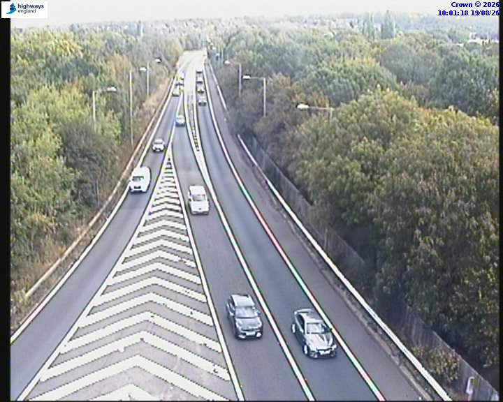56121-1787133697.jpg