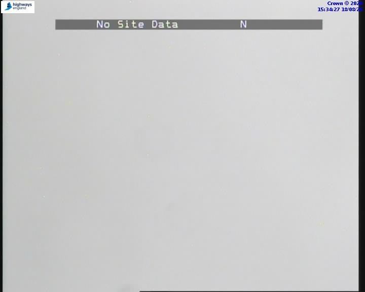 55676-1787067274.jpg