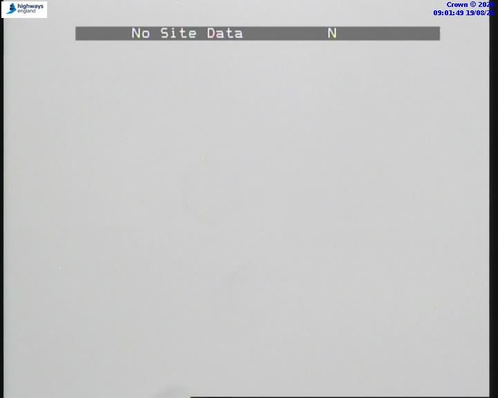 55676-1787130118.jpg