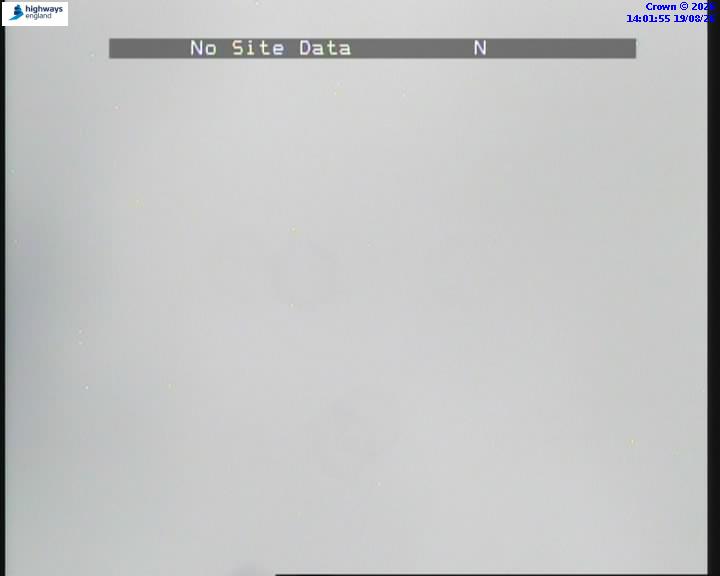 55676-1787148118.jpg