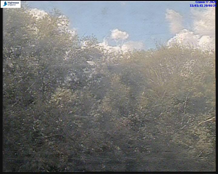 51062-1787223709.jpg