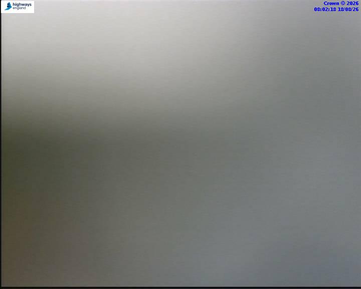 55854-1787040147.jpg