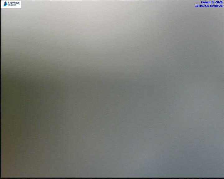 55854-1787072521.jpg