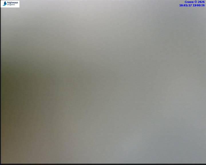 55854-1787133694.jpg