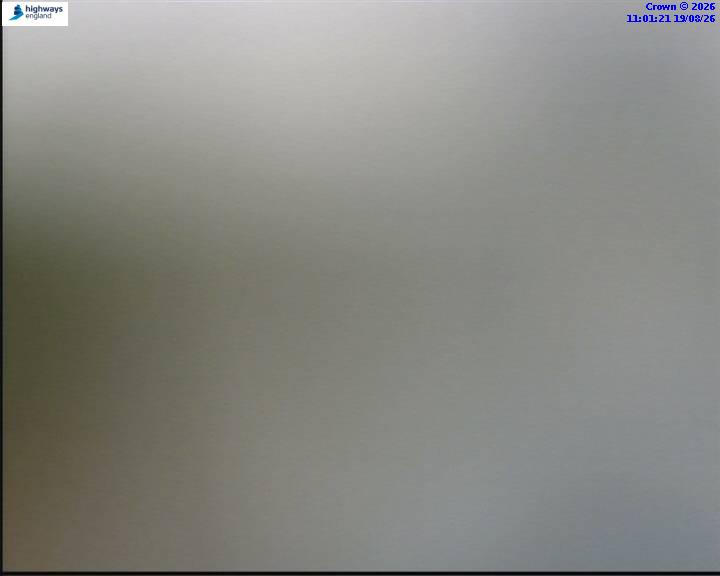 55854-1787137302.jpg