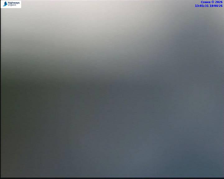 55854-1787144504.jpg