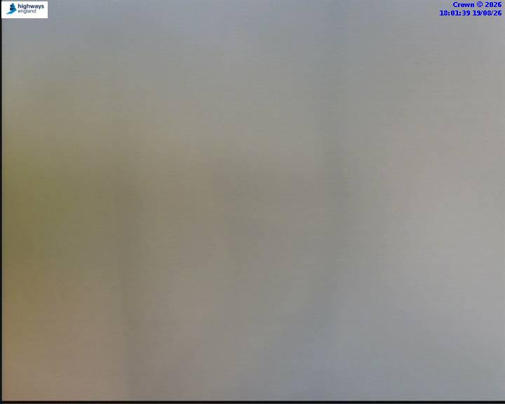 55854-1787162504.jpg