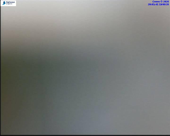 55854-1787169705.jpg