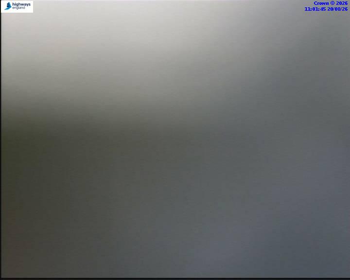 55854-1787223708.jpg