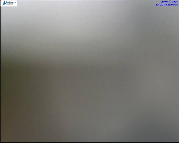 55854-1787230919.jpg