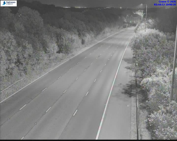 18423-1787103879.jpg