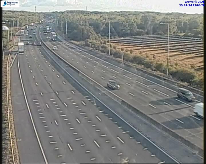 55785-1787166097.jpg