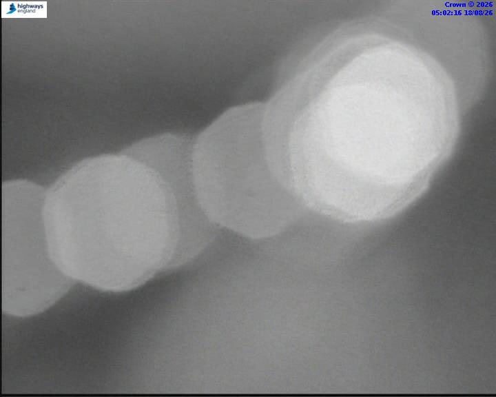 55543-1787029338.jpg