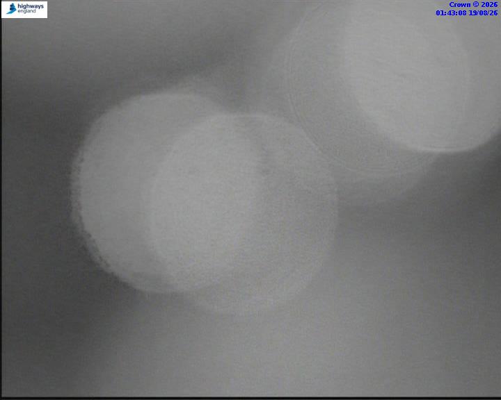 55543-1787103824.jpg
