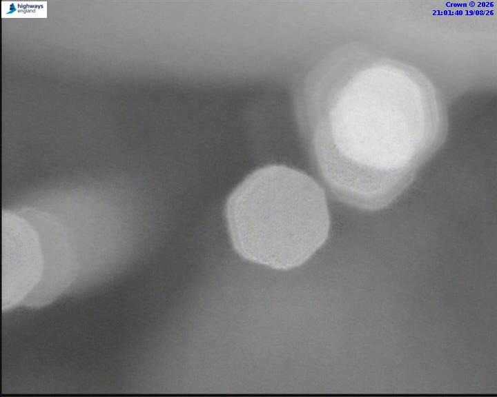 55543-1787173309.jpg