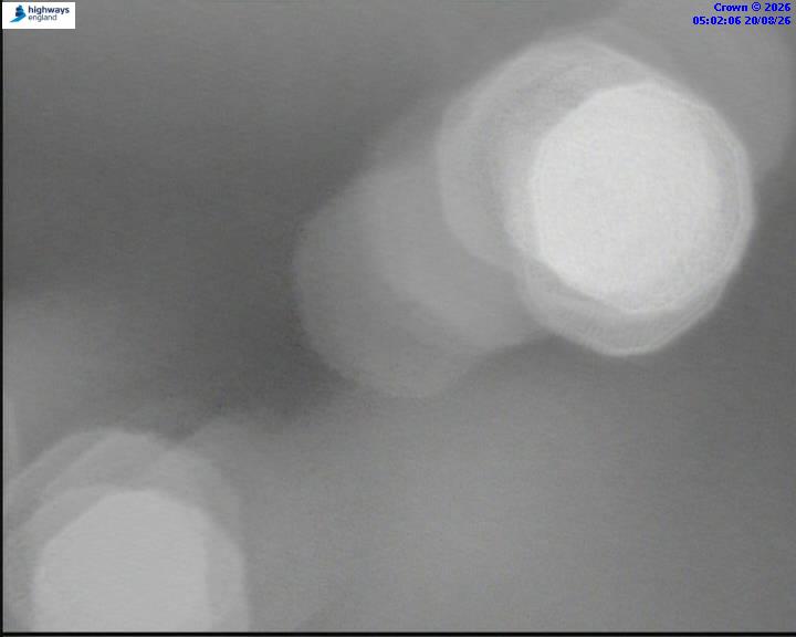 55543-1787202141.jpg