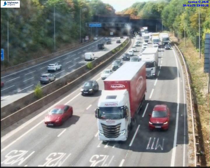 55578-1787155294.jpg