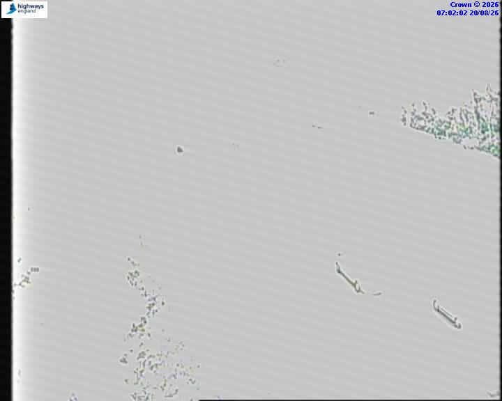 55610-1787209334.jpg