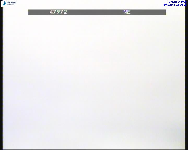 55669-1787126513.jpg