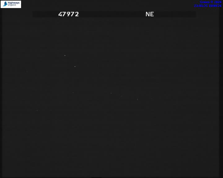 55669-1787180504.jpg