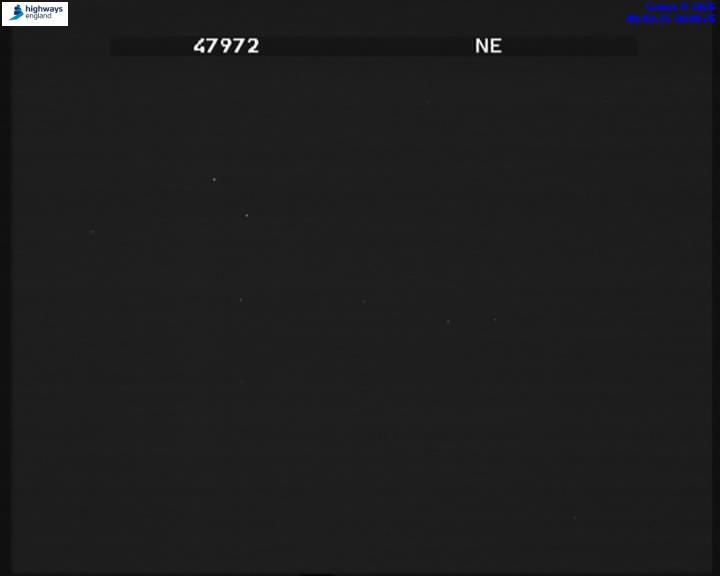 55669-1787184163.jpg