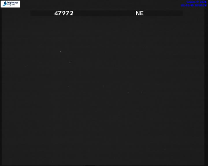 55669-1787187707.jpg