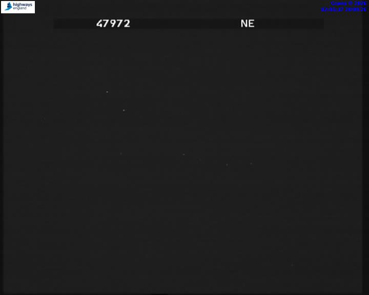 55669-1787191318.jpg