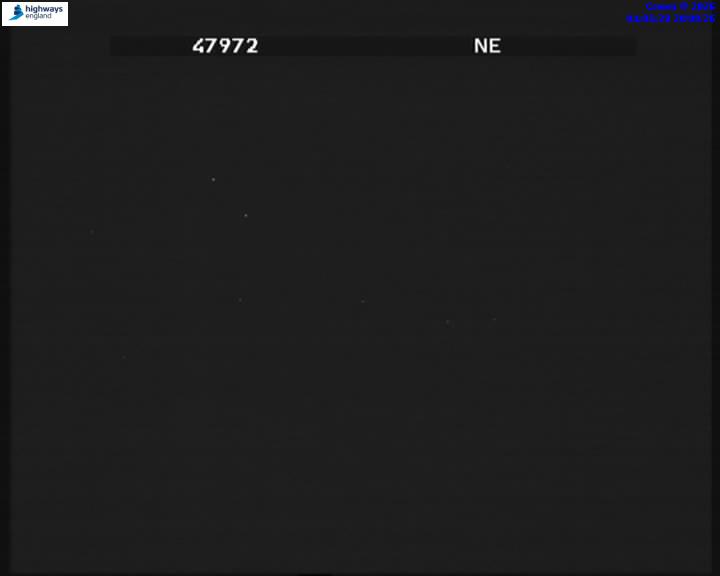 55669-1787198491.jpg