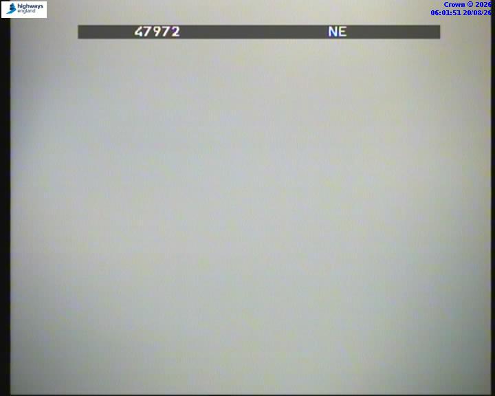 55669-1787205725.jpg