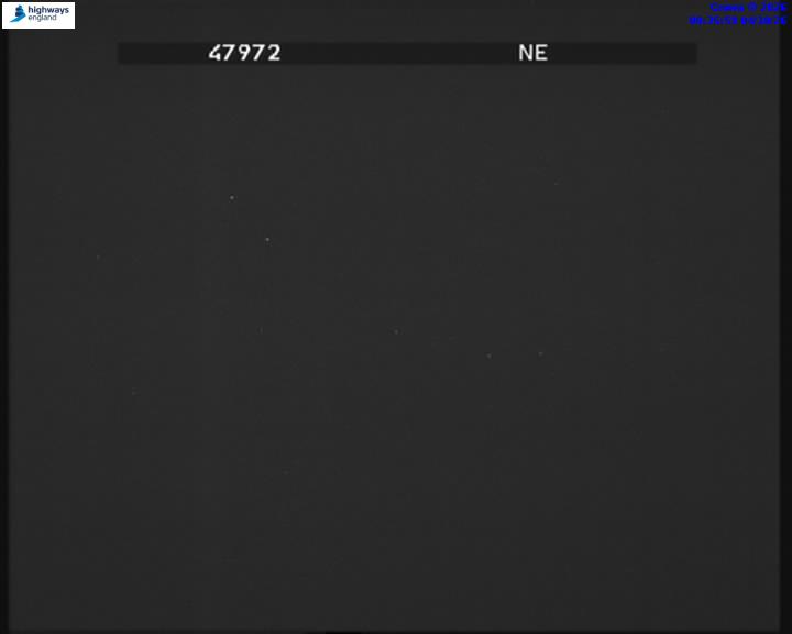 55669-1791074165.jpg