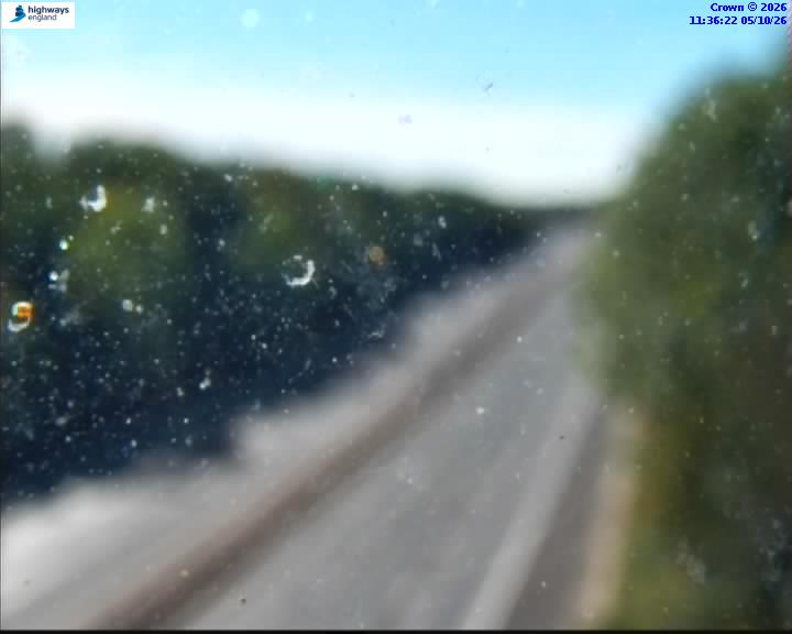 56329-1791200190.jpg
