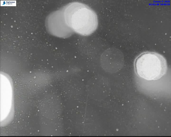56411-1787191319.jpg