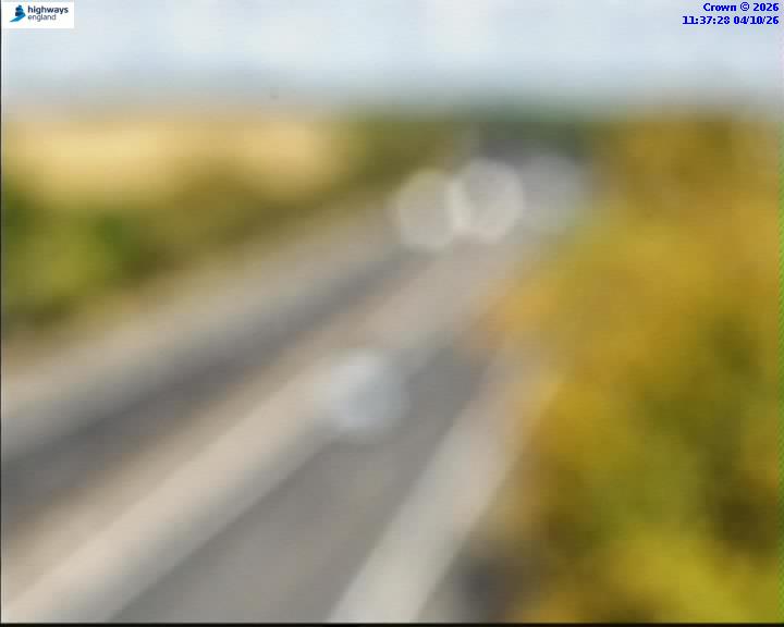 56580-1791113859.jpg