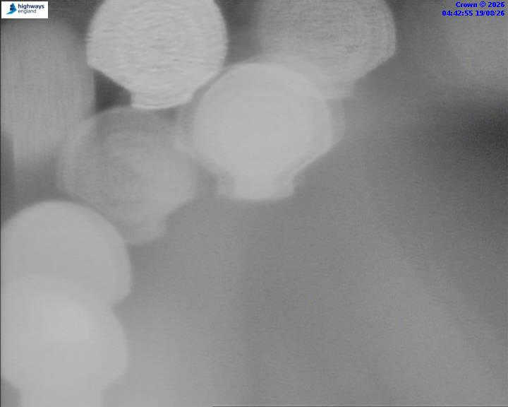 50948-1787114603.jpg