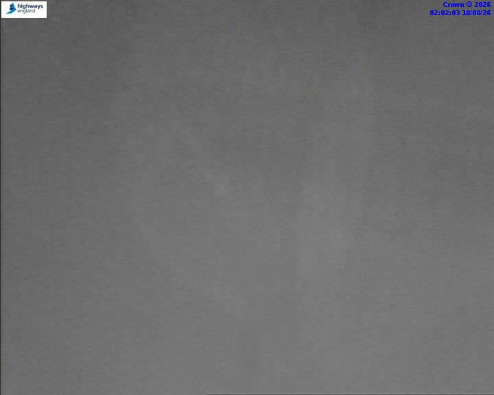 50951-1787018536.jpg