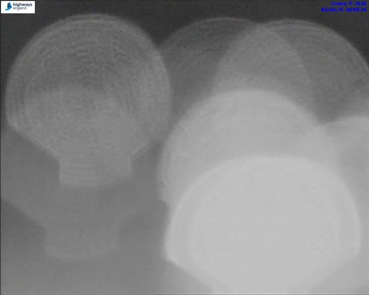 50951-1787187705.jpg