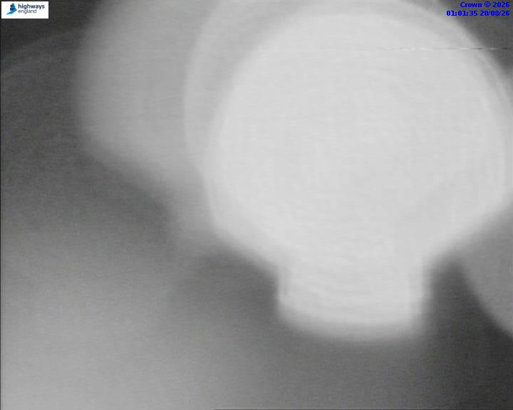 50895-1787187705.jpg