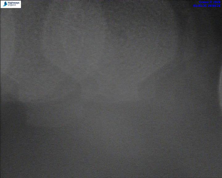 50944-1787187705.jpg