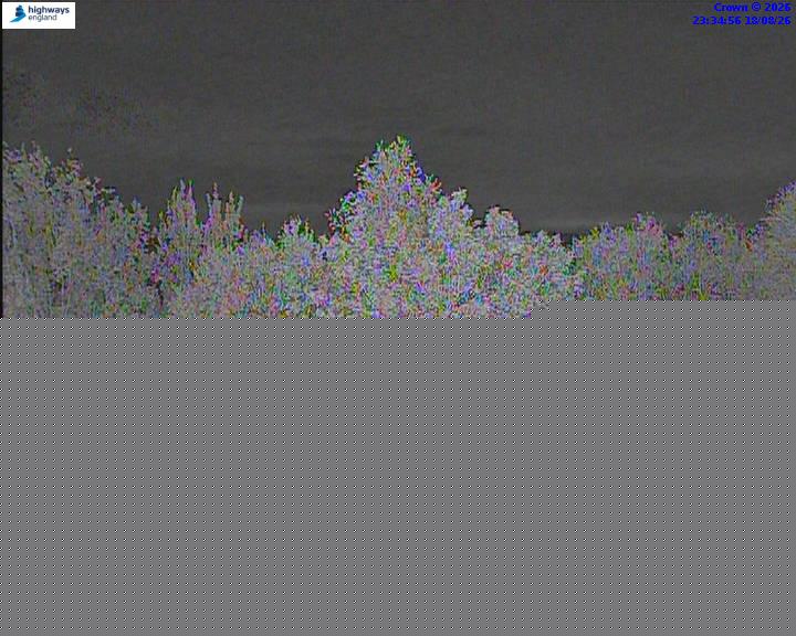 50928-1787096127.jpg