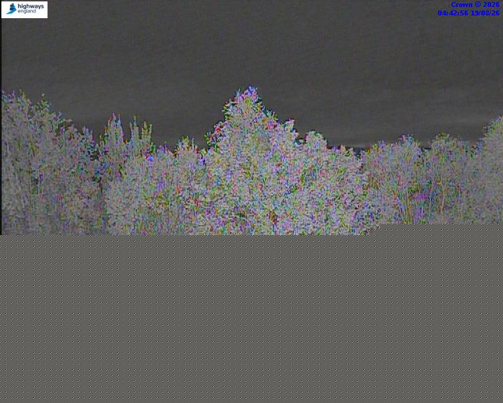 50928-1787114600.jpg