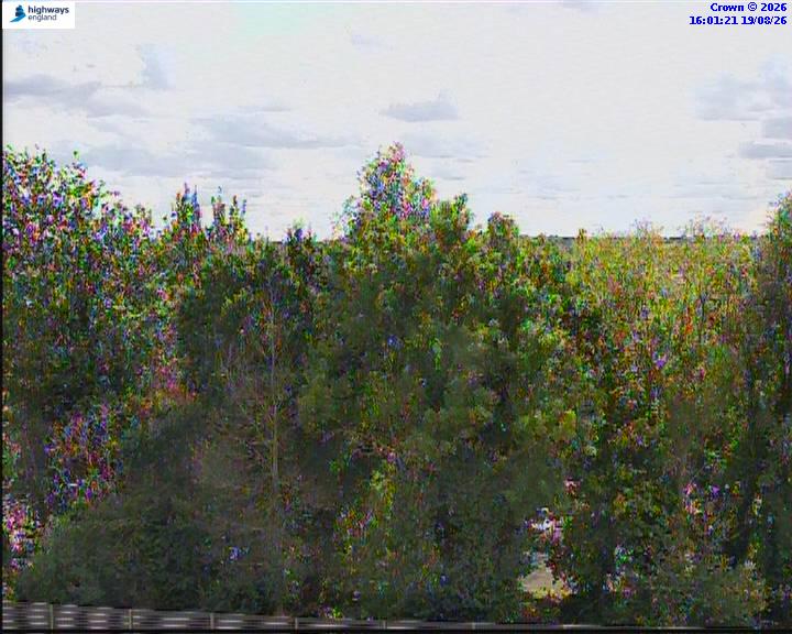 50928-1787155291.jpg