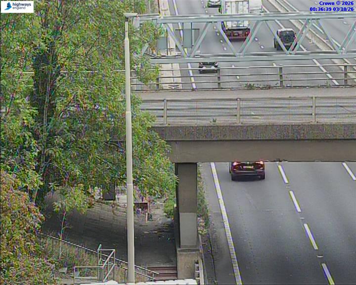 50965-1791016618.jpg