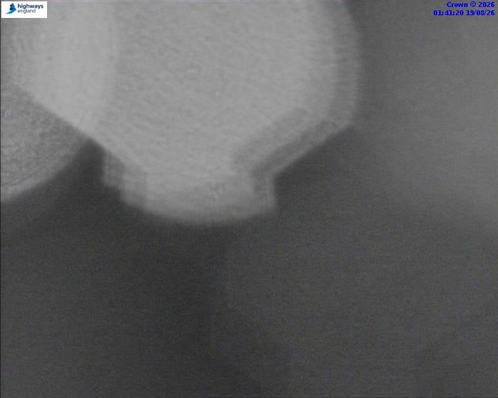 50986-1787103706.jpg