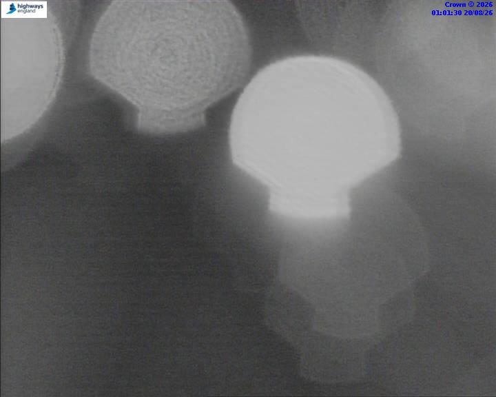 50986-1787187704.jpg