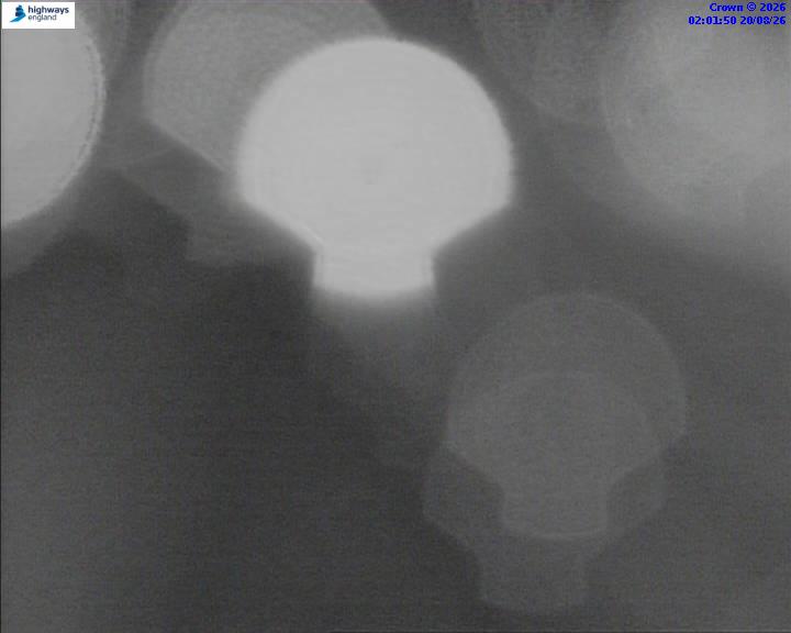 50986-1787191314.jpg
