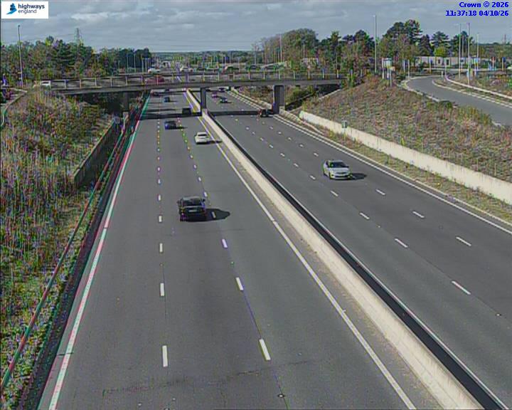 50986-1791113856.jpg