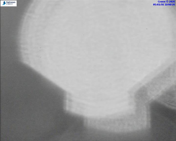 50992-1787029329.jpg