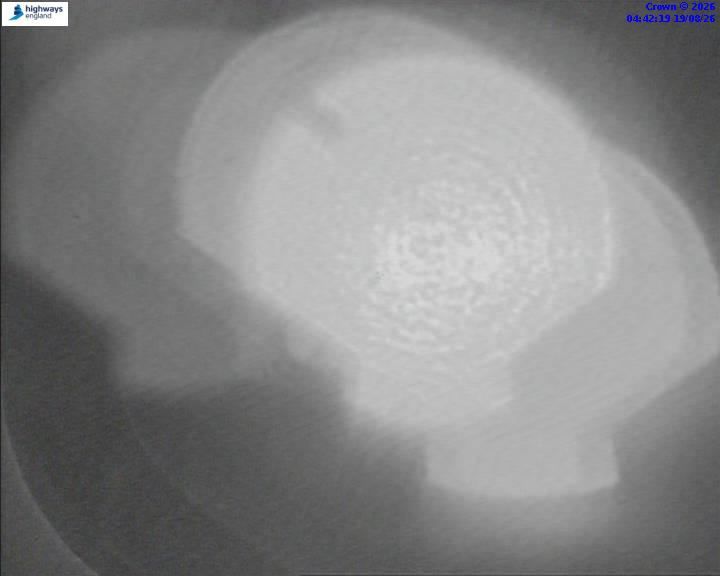 50995-1787114572.jpg