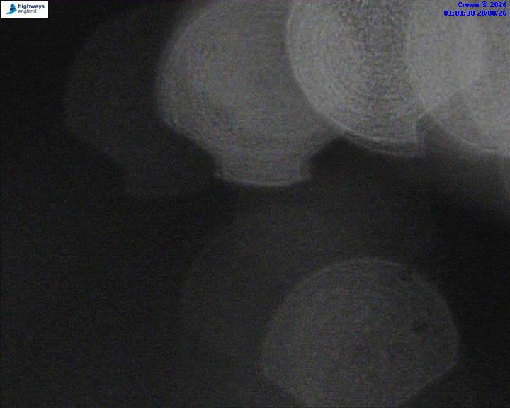 50999-1787187703.jpg