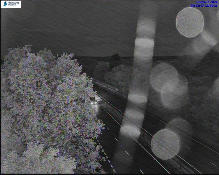 51382-1787029328.jpg